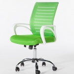 Ofis Sandalye Yeşil Renk